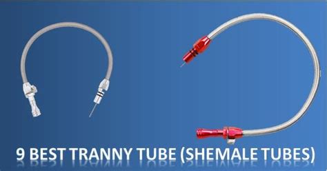 ashemale porn tube|Tranny Tube .